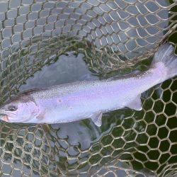 全面結氷！大安トラウトレイク